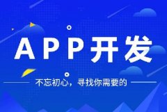 開發一個app多少錢？