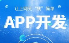 手機(jī)系統(tǒng)開發(fā)APP簡(jiǎn)化指南
